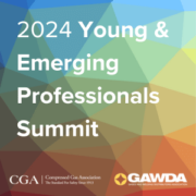 2024 Young & Emerging Professional Summit